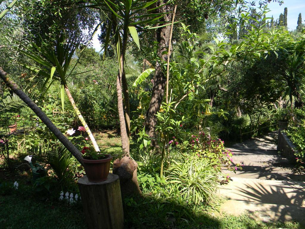 Villa Efterpi Kontokali Exterior photo